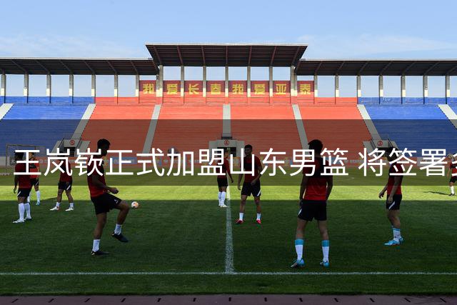 王岚嵚正式加盟山东男篮 将签署多年合约返乡效力