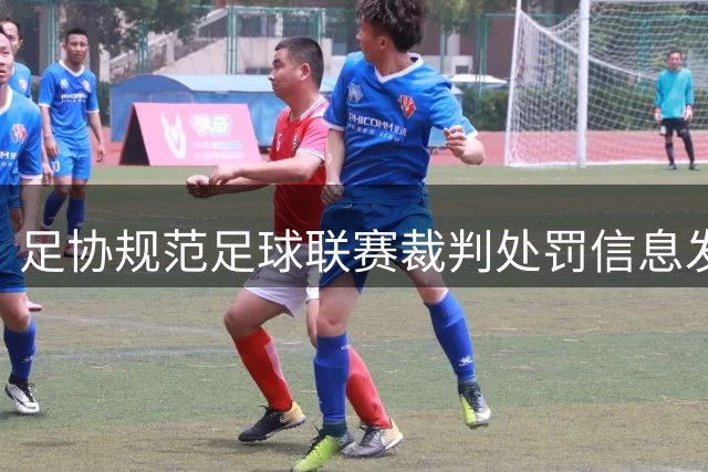 足协规范足球联赛裁判处罚信息发布